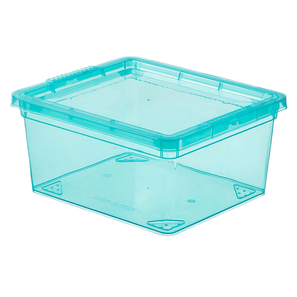 Caja Organizadora Plástico 2 Lt Hacks & Racks
